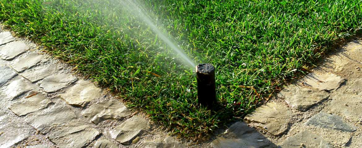 Ilustrační obrázek kategorie